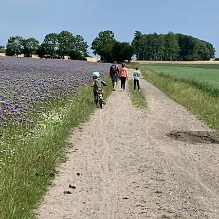 Dom wakacyjny Ostseeblick Kraksdorf-strand Fast Direkt Am Ostseestrand *