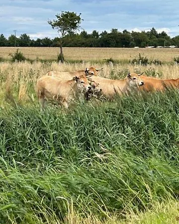 Ostseeblick Kraksdorf-strand Fast Direkt Am Ostseestrand Neukirchen (Ostholstein)